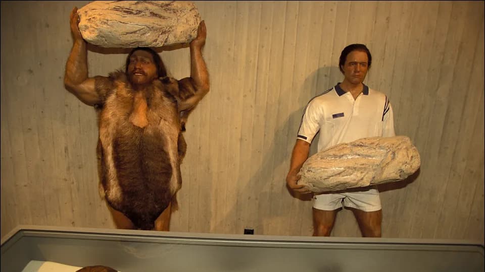 Neandertalski gen koji pojačava mišićnu masu — nasledilo ga do 25% ljudi u Aziji