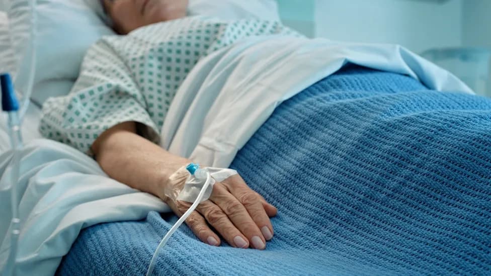 Opasna, Otporna Gljivica Candida auris Se Širi Po SAD: 3.437 Kliničkih Slučajeva U 27 Država