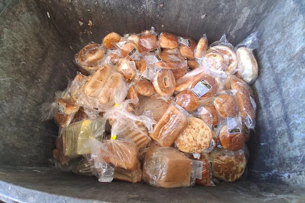 Kontejner Supermarketa u Ankari Pun Upakovanog Hleba Pokrenuo Raspravu o Bacanju Hrane