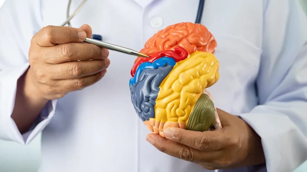 FDA Odobrila Fazu III Za PHENOGENE‑1A — Počinje Veliko Ispitivanje Za Ranu Alcajmerovu Bolest