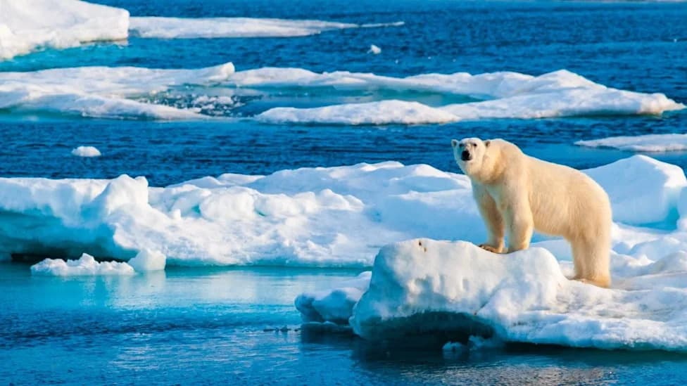 NOAA Prekida Koordinaciju Arktičkog Izveštaja Za 2026. — Naučnici Se Utrkuju Da Sačuvaju "Arctic Report Card"