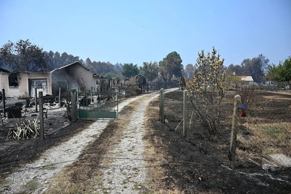 Posle Požara Kod Bordoa: Kako Francuske Šume Mogu Da Se Oporave?