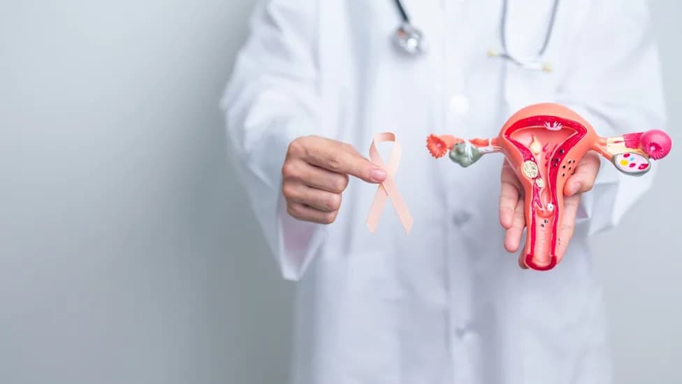 FDA Dodelila Fast Track PIKTOR‑u Uz Paklitaksel Za Uznapredovali Karcinom Endometrijuma