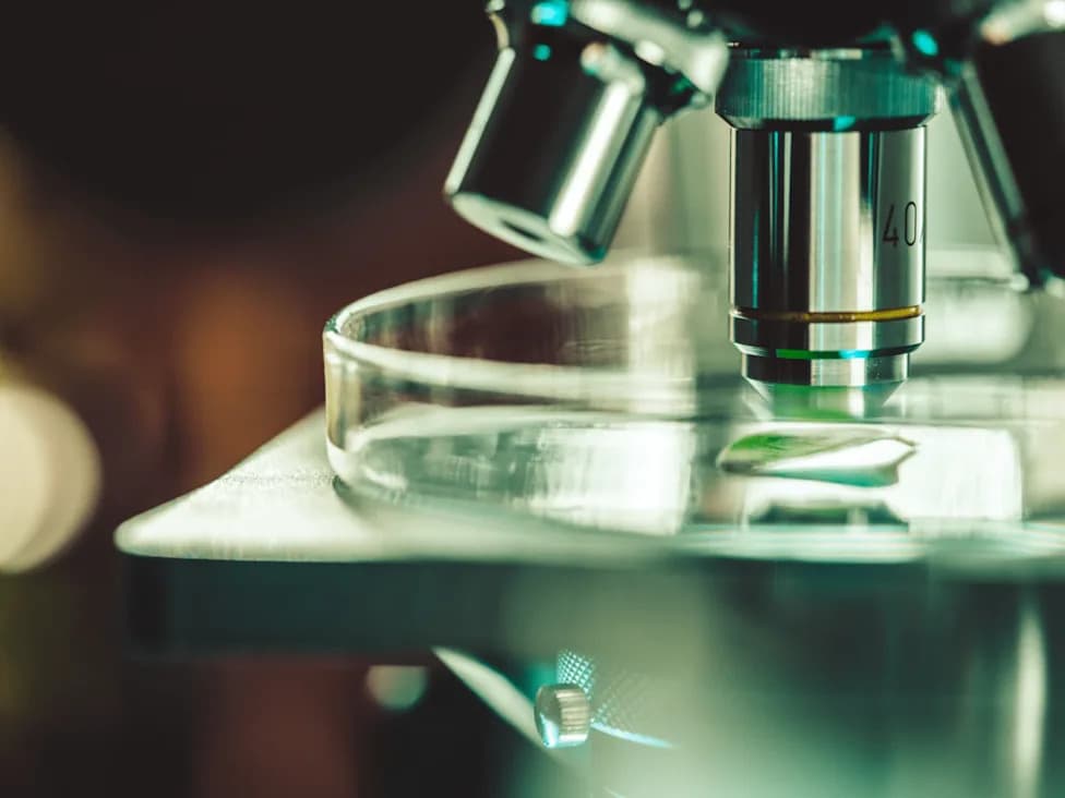 8 Šokantnih Činjenica O Ženama U Medicinskom Istraživanju Koje Će Vas Naterati Da Kažete „Ozbiljno?“