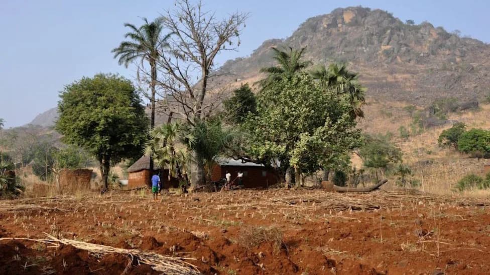 Togo Zadržao Dvojicu Francuskih Novinara Uprkos Ispravnim Dokumentima, Kaže RSF