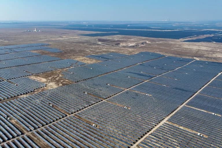 „Zelena dilema“: solarni bum u Kini šteti pticama, upozorava studija