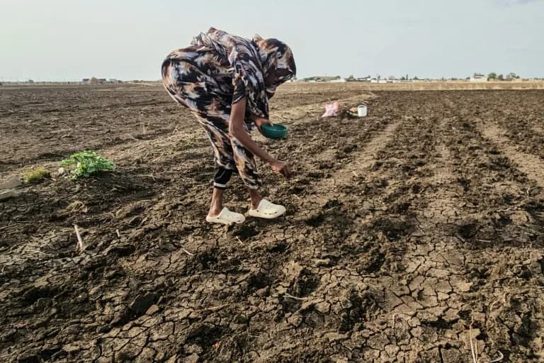 Suša u Sudanu: El Niño I Konflikti Isušuju Nil — Polja Masovno Zapostavljena
