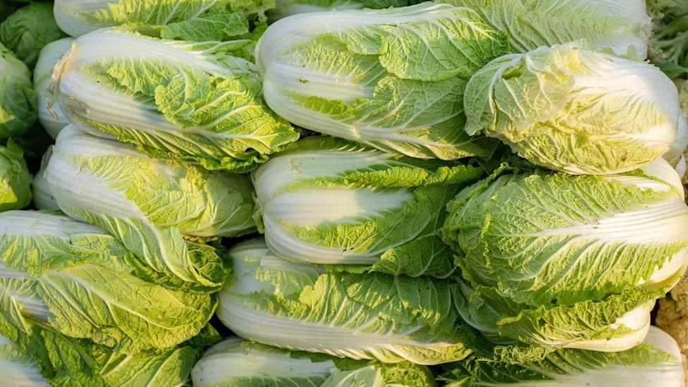 Kina Pokrenula Istragu Nakon Snimka: Navodna Upotreba Formaldehida Za Očuvanje Kupusa