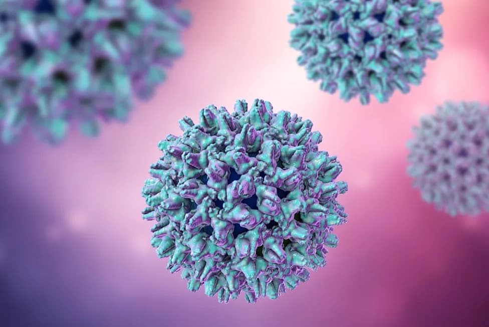 Prvo Svetsko Odobrenje: GSK-ov Hibsago (bepirovirsen) Za Funkcionalno Izlečenje Hepatitisa B Odobren U Japanu