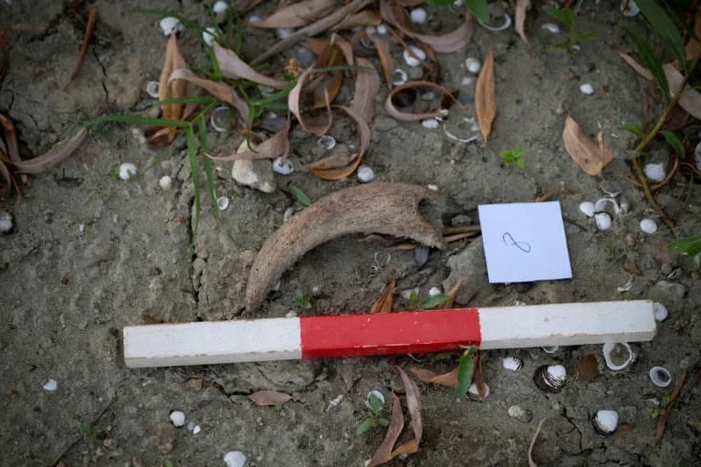 Suša Na Dunavu Otkriva Fosile i Olupke — Volonteri Traže Ostaci Mamuta Kraj Rusea
