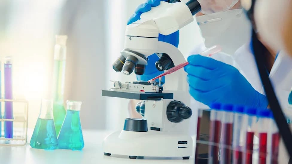 Senhwa završila regrutaciju u fazu Ib pidnaruleksa (CX-5461) — CSR očekivan u Q1 2027, preliminarna kontrola bolesti ~60%