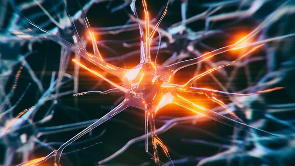 Nano-ERASER: Dve injekcije podstakle obnovu neurona i poboljšale pamćenje kod miševa s Alchajmerom