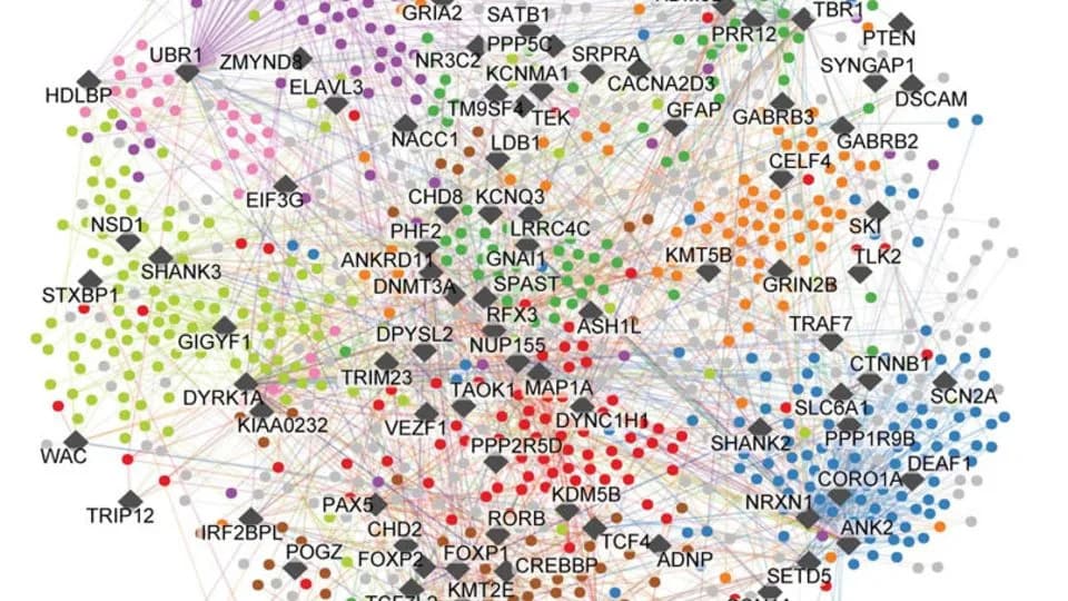 Najveća molekularna mapa autizma otkriva put ka ciljanим terapijama