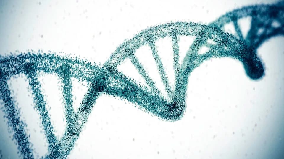 Jedan 'rez' CRISPR-om smanjio holesterol za ~50% tokom godine — obećavajući rezultati iz male studije