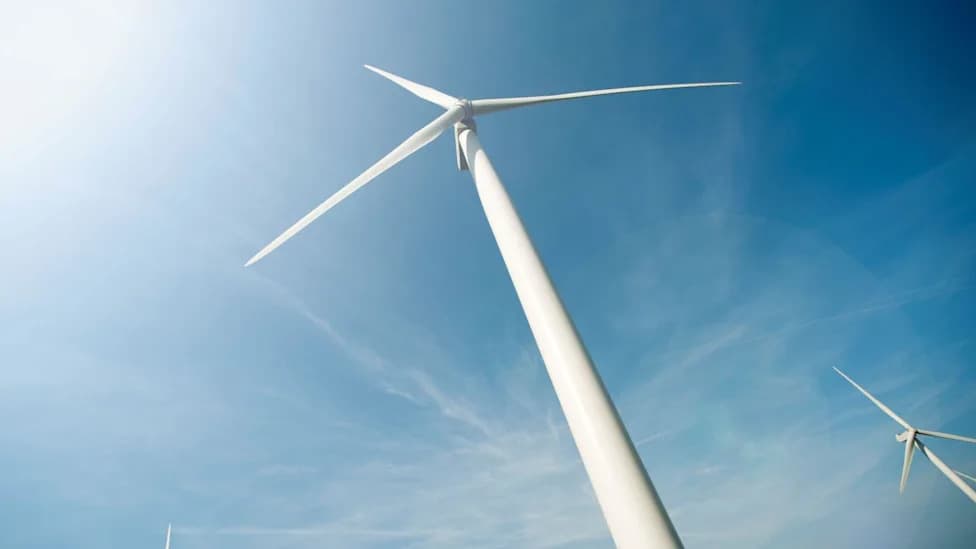 Plan za vetropark blizu Flow Country: Forsinain Forest predlaže do 12 turbina uz obnovu tresetišta
