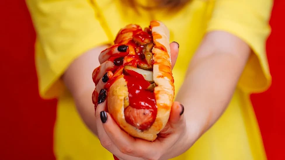 Protein OPA1 Može Pobediti Žudnju Za Masnom Hranom? Novo Istraživanje Na Miševima Otkazuje Znatan Uticaj