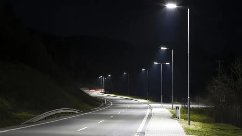Belo Svetlo Uličnih Lampi "Zarobljava" Drvne Stenice — Kako Rasveta Menja Ponašanje Životinja