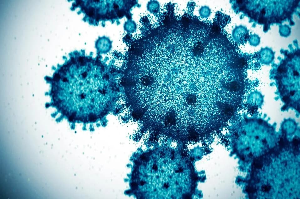 AI i bakteriofagi: kako prilagođeni virusi mogu poraziti superbakterije
