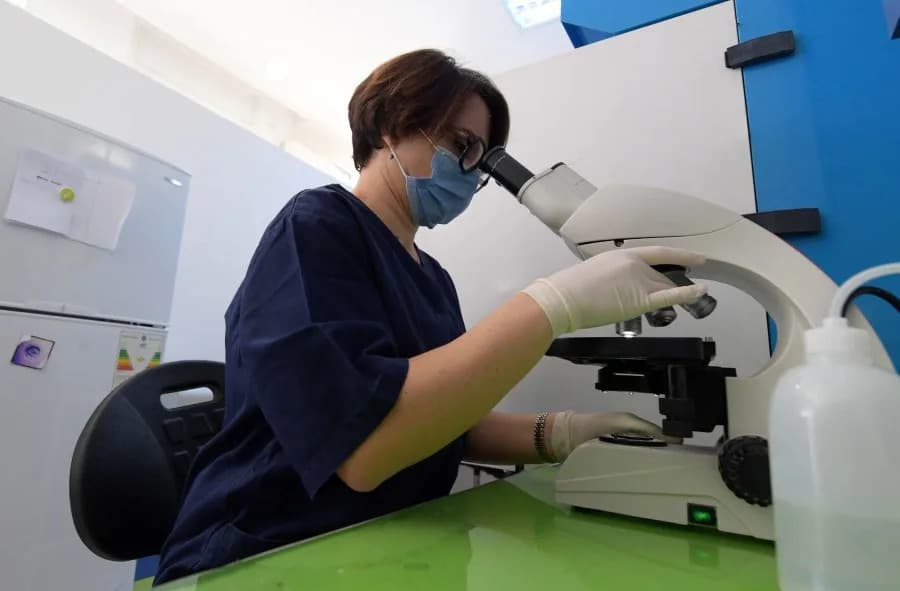 Jajnici otkrivaju zdravlje: ultrazvuk koji meri „biološku starost" može predvideti menopauzu i rizik od bolesti
