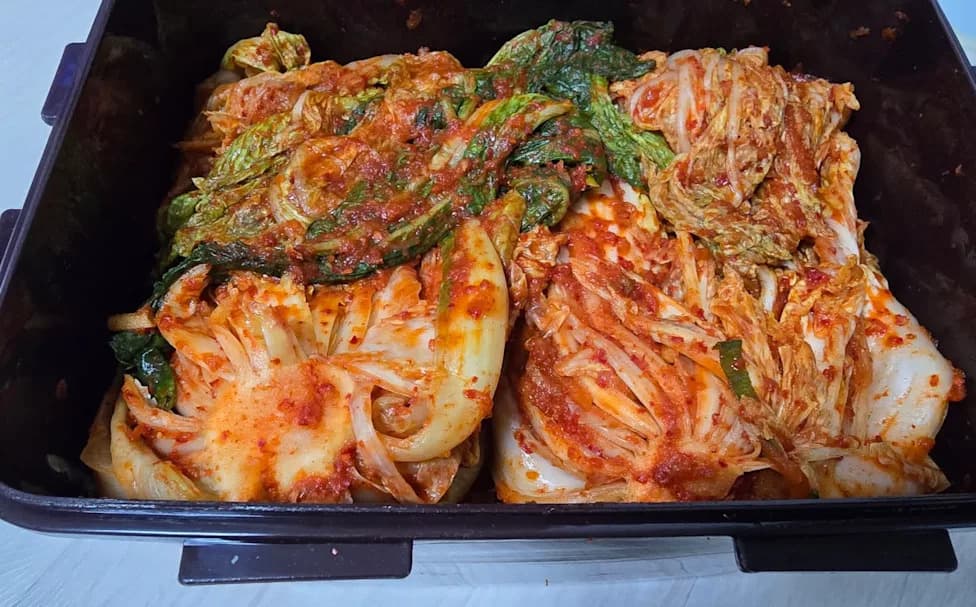 Iz Otpada Do Bioplastike: Kako Južnokorejski Naučnici Pretvaraju 18.700 Tona Rotkve Za Kimchi