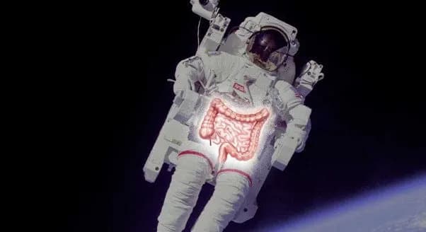 Kako mikrogravitacija utiče na creva astronauta — nova istraživanja i moguća rešenja