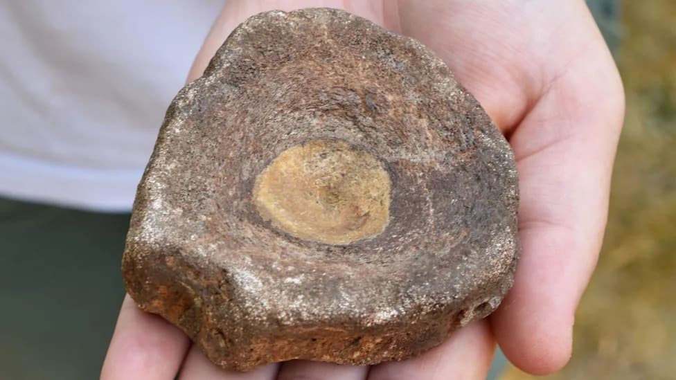Izuzetan fosil ihtiosaura iz rimske jame otkriva ranu „paleontologiju“ u Kolčesteru