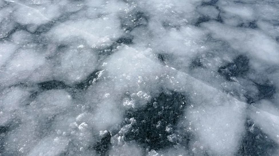 Narvali Sa Senzorima Otkrivaju Zabrinjavajuće Prodore Tople Atlantske Vode Ispod Glečera Grenlanda