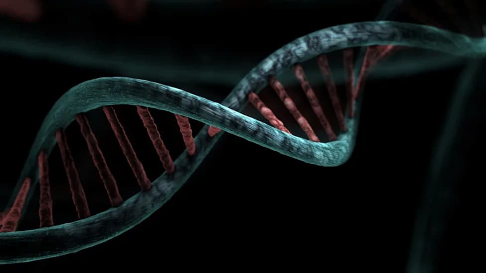 Otkriven "nuklearni ribom": RNA fragmenti koji precizno podešavaju kako se DNK uvija