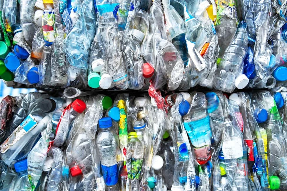 µBites: Kako su naučnici pretvorili PET plastični otpad u jestivi keks