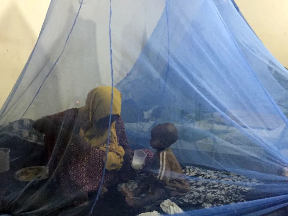 Somalija Na Rubu Katastrofe: Suša, Pothranjenost I Prijetnja El Niño