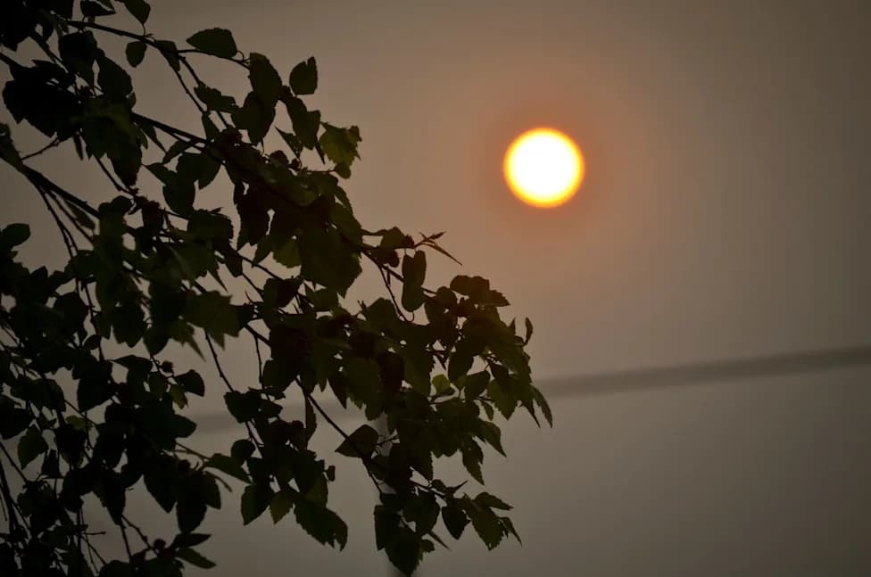 U SAD Broj Dana Iznad 105°F Može Se Utrostručiti — 'Nepodnosiva' Vrućina Sve Blizu Ljudskih Granica