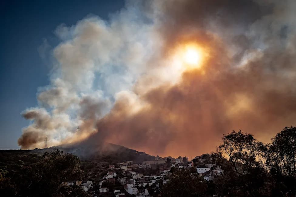 WMO Upozorava: Toplotni Talasi i Požari Podižu PM2.5 i Ozon — Skoro 100.000 Dodatnih Smrti