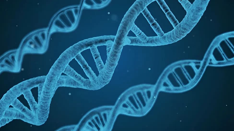 Da li DNK Svedoči O Inteligentnom Stvaraocu? Argumenti Dr. Orsona Wedgwooda i Odgovor Nauke