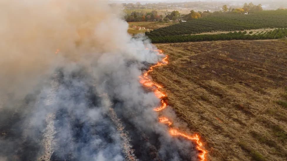 Poplave, Suše i Do 24 Puta Više Talasa Vrućine: Klimatska Budućnost Koju Će Doživeti Deca Rođena 2020.