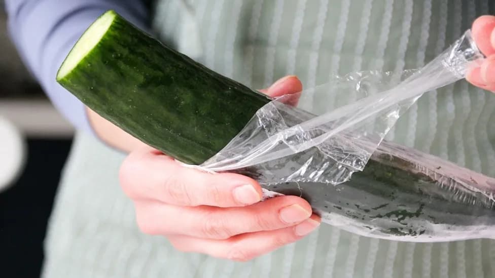Sedmica Bez Plastike Smanjila Nivo Nekih Plastičnih Hemikalija U Urinu Do 60% — Novo Randomizovano Ispitivanje