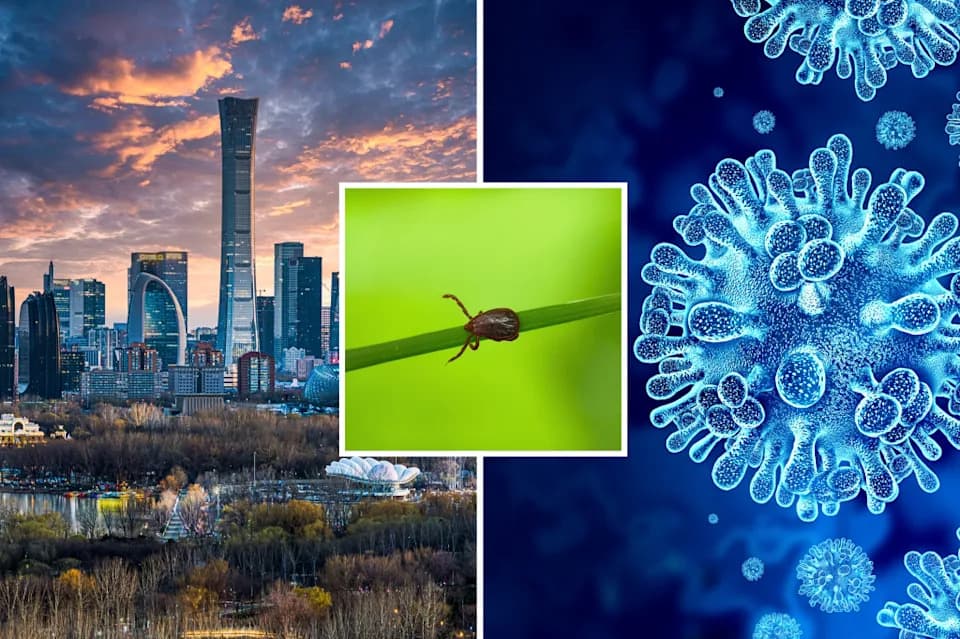 Alarm Iz Kine: Otkriven Asian Longhorned Tick Nairovirus (ALTNV) — Veći Rizik Pri Ko‑infekciji Sa DBV
