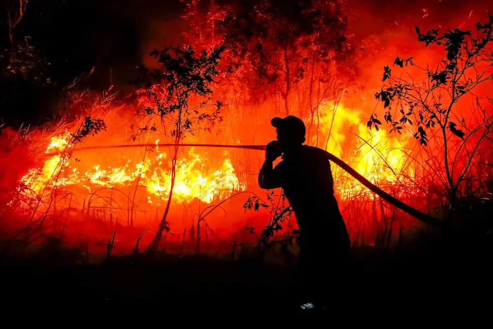 Indonezija: Najintenzivnija Sezona Požara U Poslednjih 11 Godina Zbog Snažnog El Niño