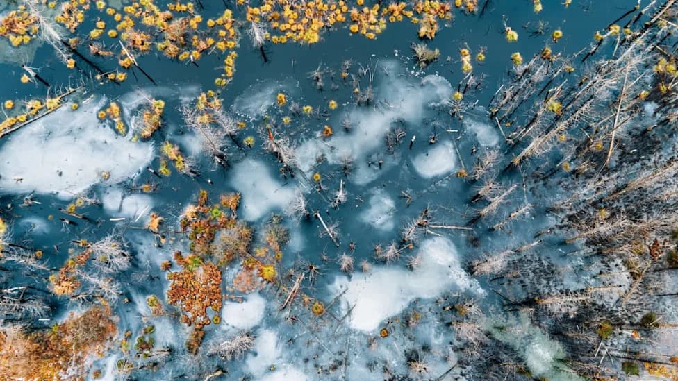 Previđene klimatske povratne reakcije mogle bi povećati globalno zagrevanje do 30% do 2100. — nova studija upozorava