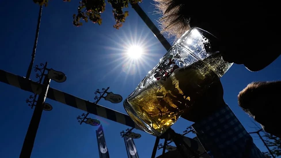 Suša I Vrućine Prete Prinosima Hmelja — Hoće Li Piva Nedostajati Na Oktoberfestu?