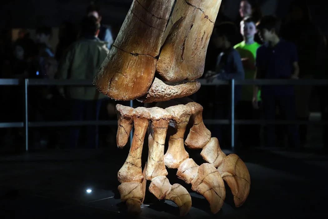 Titanosauri: kako su ovi džinovi spojili reptilske i sisarske osobine i zavladali svim kontinentima