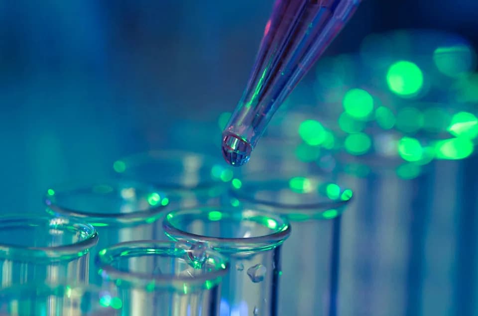 Biljni vitrimer iz Litvanije: samolečenje, antimikrobnost i 3D štampa za medicinu i elektroniku