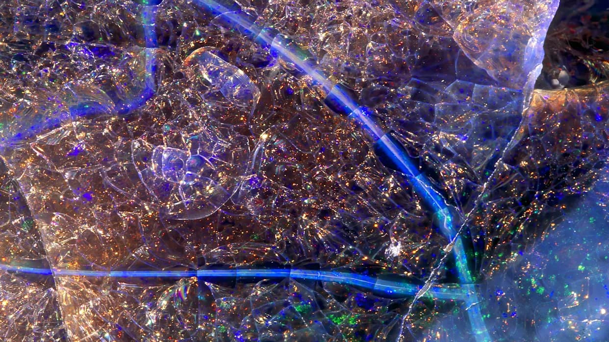 Šta vidiš? 12 ekstremnih uvećanja otkrivaju „skrivenu nauku” u knjizi „Phenomenal Moments”