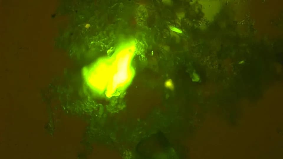 Gde "nestaje" plastika s površine mora? "Morski sneg" kao prirodna "traka za transport"