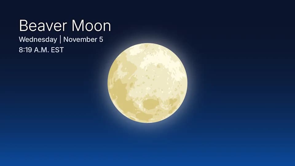 Najveći supermesec od 2019: gde i kada posmatrati Beaver Moon u novembru