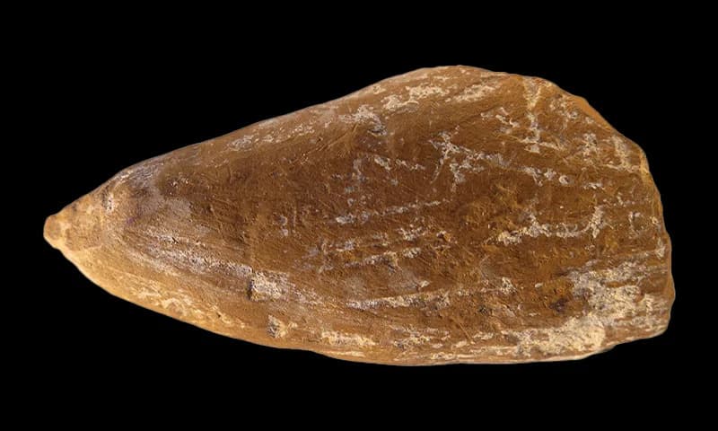 Neandertalci možda izumeli prvu „voštanu“ — 70.000 godina stari oker nosi tragove crtanja