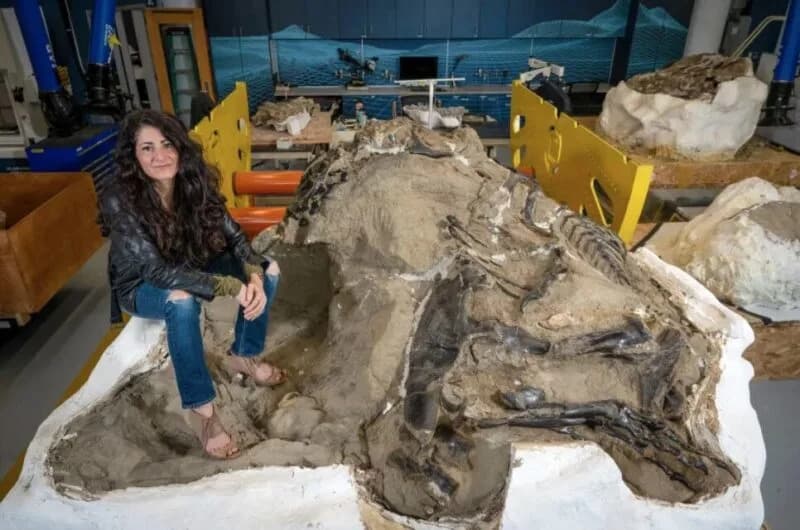 Nije tinejdžer T. rex — Nanotyrannus lancensis potvrđen kao posebna vrsta