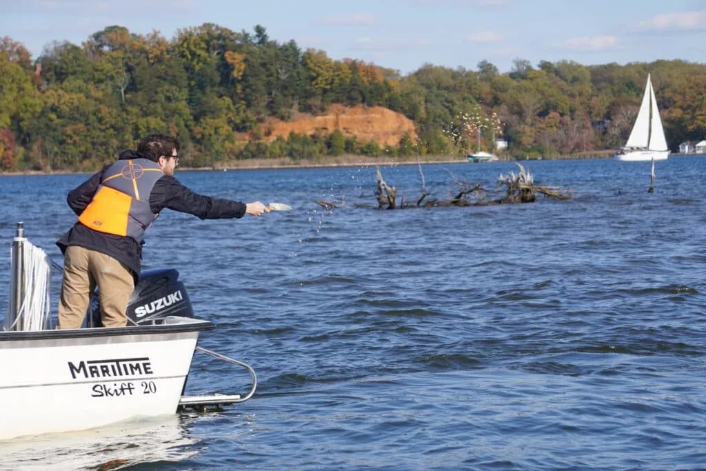 Kako naučnici i volonteri obnavljaju podvodne trave u zalivu Chesapeake