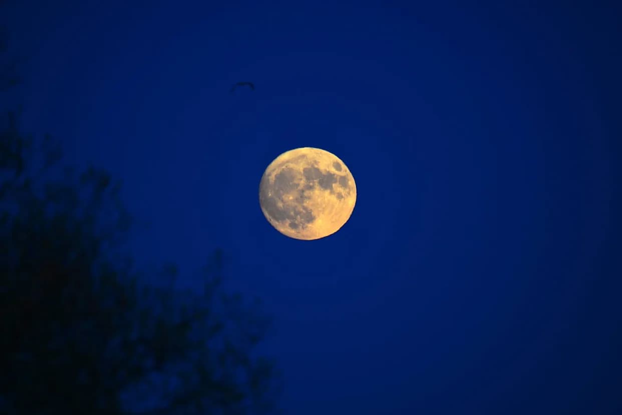 Najbliži supermesec u godini stiže 5. novembra — ovih 10 saveznih država SAD imaće najbolji pogled