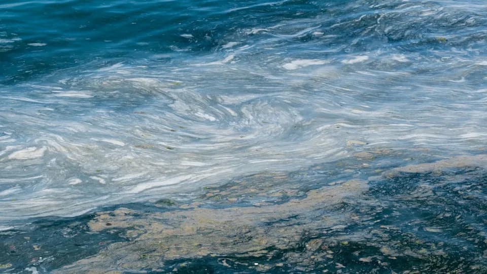 Zapanjujuće otkriće: enzim koji razgrađuje PET pronađen u skoro 80% uzoraka iz okeana