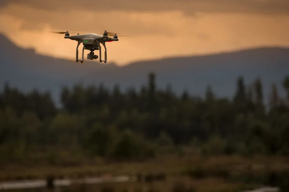 Visokotehnološki dron štiti vekovna stabla u Štutgartu — potencijalni model za zelene gradove